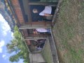 IMG_20250529_103100