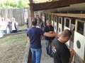 IMG_20250529_103107