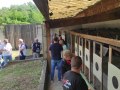 IMG_20250529_103111