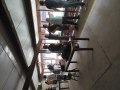 IMG_20250529_103501