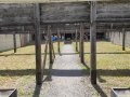 IMG_20250529_110411