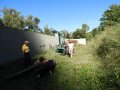DSCN5393