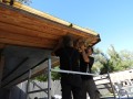 DSCN5443
