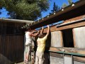 DSCN5447