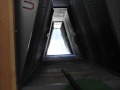 DSCN5688