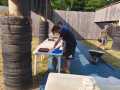IMG-20250623-WA0006
